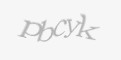 Защитный код
