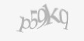 Защитный код